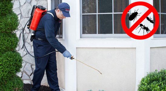 Ordu Kene İlaçlama böcek ilaçlama ve haşere kontrolü — ilaclama-tr.com